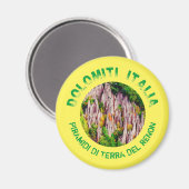 Earth pyramiden van Zuid-Tirol, Italië. Magneet (Voorkant / Achterkant)