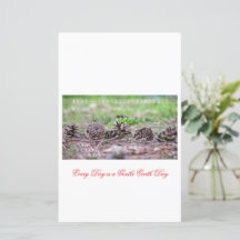 Earth’s Glow and Healing Japanese Flowers/EarthDay