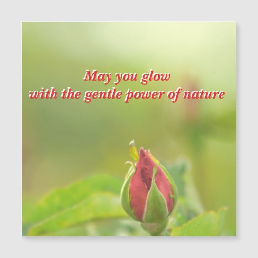 Earth’s Glow and Healing Japanese Flowers/EarthDay (Voorkant)