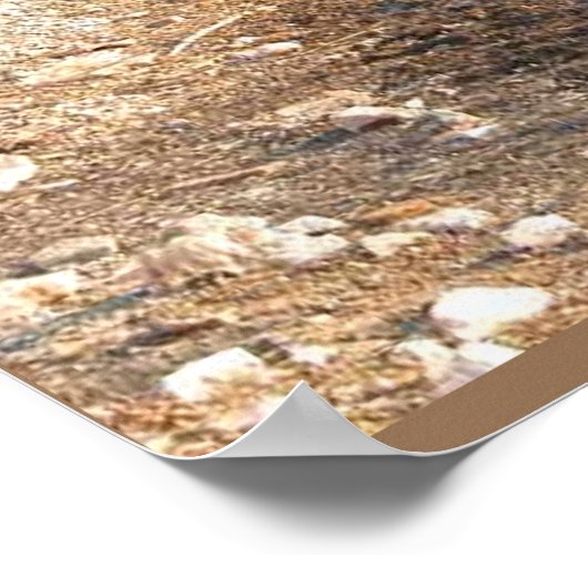 Earth science, Environment, Eutrofiëring Poster (Hoek)