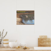 Earth science, Environment, Eutrofiëring Poster (Keuken)