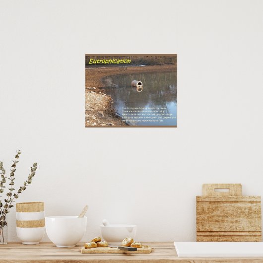 Earth science, Environment, Eutrofiëring Poster (Keuken)