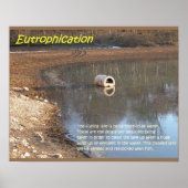 Earth science, Environment, Eutrofiëring Poster (Voorkant)