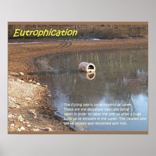 Earth science, Environment, Eutrofiëring Poster (Voorkant)