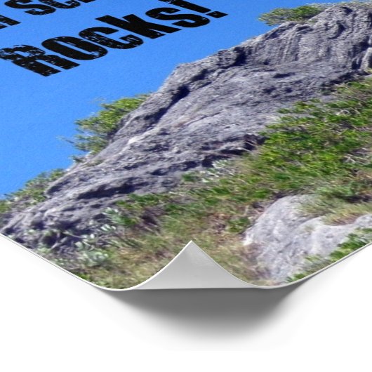 Earth Science Rocks. Poster (Hoek)