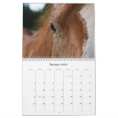 Earth Spirit Horse Rescue, kalender 2011 (Jan 2026)