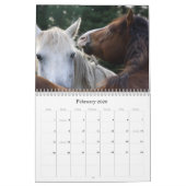 Earth Spirit Horse Rescue, kalender 2011 (Feb 2026)
