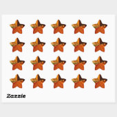 Earth Tone Abstracte Kleurenkunst Print Design Ster Sticker (Vel)