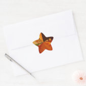 Earth Tone Abstracte Kleurenkunst Print Design Ster Sticker (Envelop)