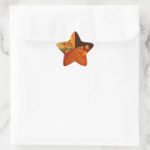 Earth Tone Abstracte Kleurenkunst Print Design Ster Sticker (Tas)