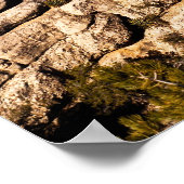 Earth Tones Poster (Hoek)