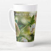 Earthlight and Healing Japanese Flowers and Poetry Latte Mok (Linkerhoek)