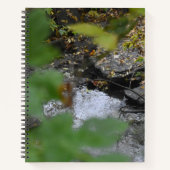 Earth's Enhancements Spiral Notitieboek (Voorkant)