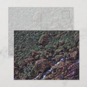 EarthTone Briefkaart (Voorkant / Achterkant)