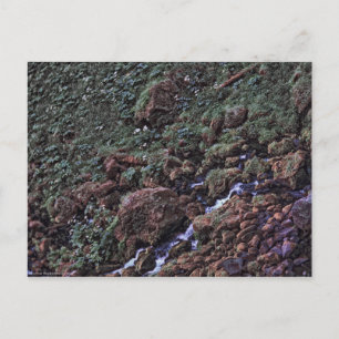 EarthTone Briefkaart