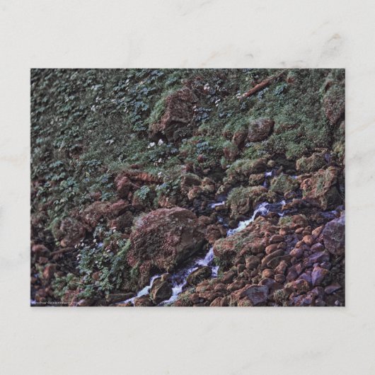 EarthTone Briefkaart (Voorkant)