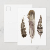 Earthtone Feathers II Briefkaart (Voorkant / Achterkant)