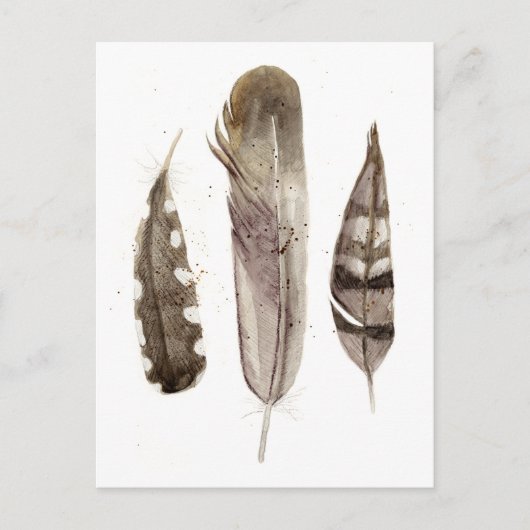 Earthtone Feathers II Briefkaart (Voorkant)