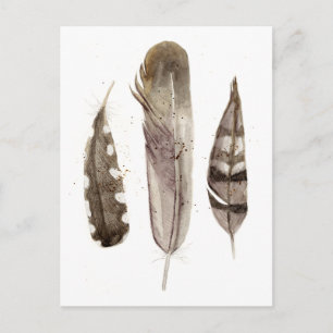 Earthtone Feathers II Briefkaart