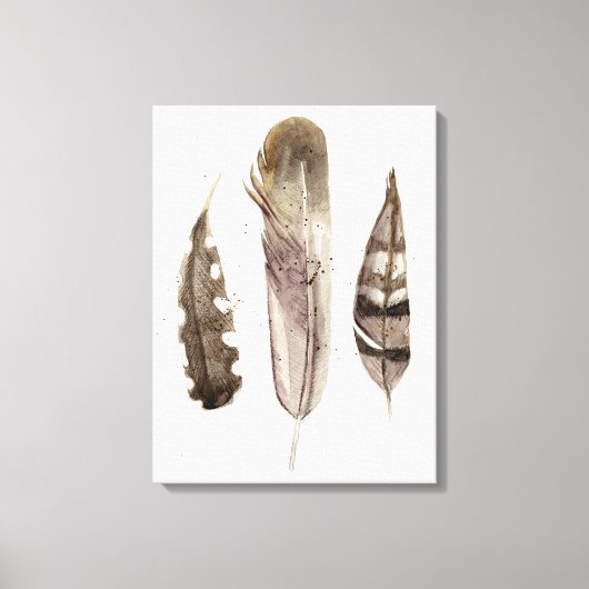 Earthtone Feathers II Canvas Afdruk (Voorkant)