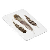 Earthtone Feathers II Magneet (Rechterzijde)