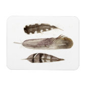 Earthtone Feathers II Magneet (Horizontaal)