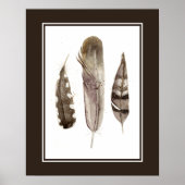 Earthtone Feathers II Poster (Voorkant)
