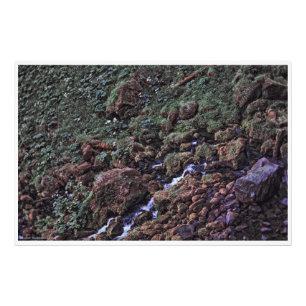 EarthTone Foto Afdruk