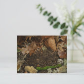 Earthy Forest Floor Briefkaart (Staand voorkant)