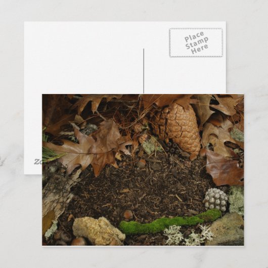Earthy Forest Floor Briefkaart (Voorkant / Achterkant)