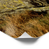 Easedale Tarn Cumbria England Perfect Poster (Hoek)