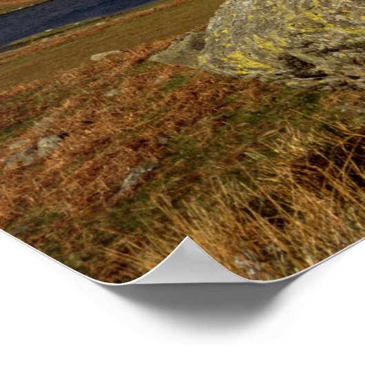 Easedale Tarn Cumbria England Poster (Hoek)