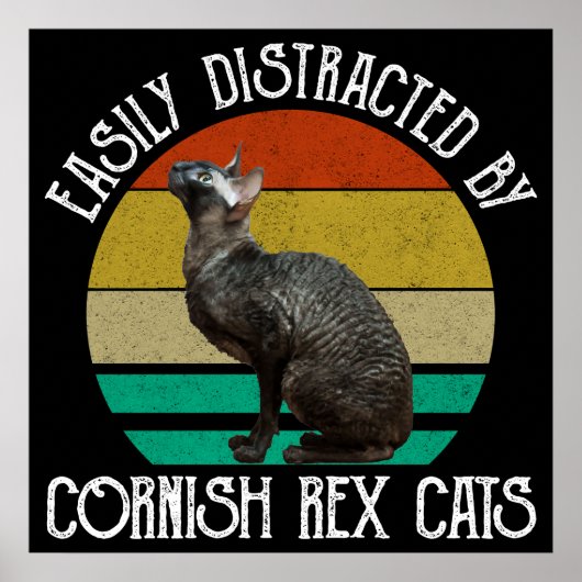 Easily Distracted By Cornish Rex Cats Poster (Voorkant)
