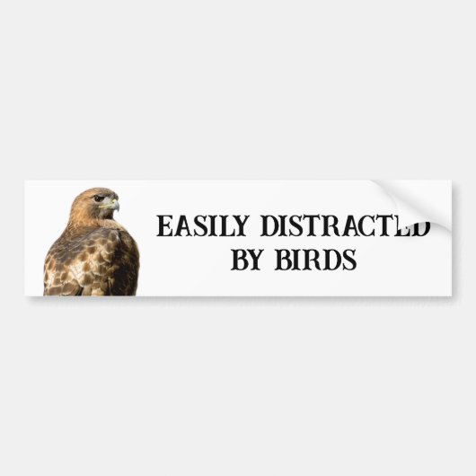 Easily Distracted.... - Red Tailed Hawk Bumpersticker (Voorkant)