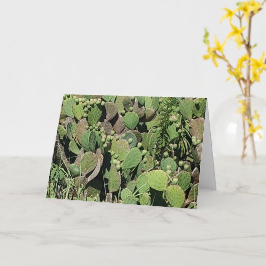 "East Coast Cacti" Wenskaart voor een spoedig hers Kaart (Gele Bloem)