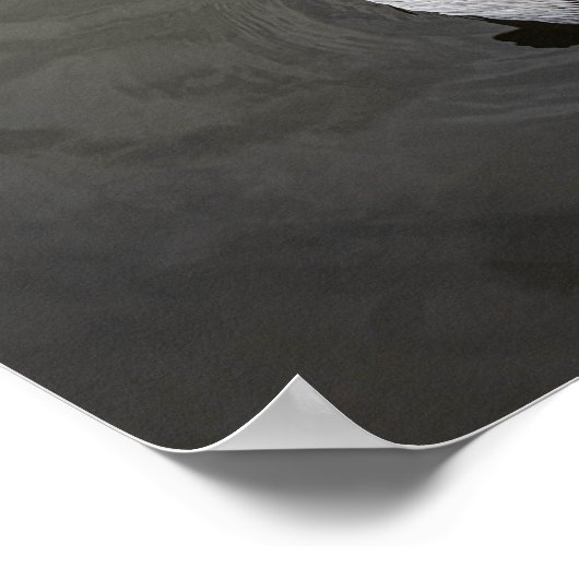 East Coast Pelican (Matte) Poster (Hoek)