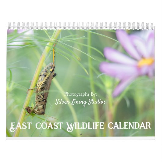 East Coast Wildlife Calendar Kalender (Hoes)