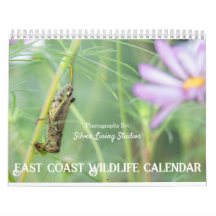 East Coast Wildlife Calendar Kalender