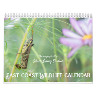 East Coast Wildlife Calendar Kalender