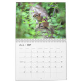 East Coast Wildlife Calendar Kalender (Mar 2027)