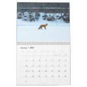 East Coast Wildlife Calendar Kalender (Jan 2027)
