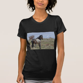 East Douglas/Piceance HMA Stallion T-shirt