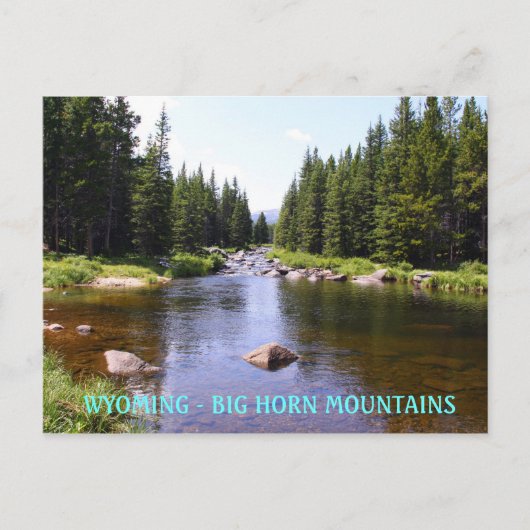 East Fork Big Goose, WYOMING - GROTE HORN MOUN.. Briefkaart (Voorkant)