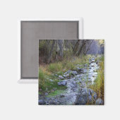 East Fork/Hayfork creek..... Magneet (Voorkant / Achterkant)