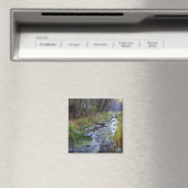 East Fork/Hayfork creek..... Magneet (Insitu (Vaatwasser))