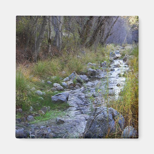 East Fork/Hayfork creek..... Magneet (Voorkant)