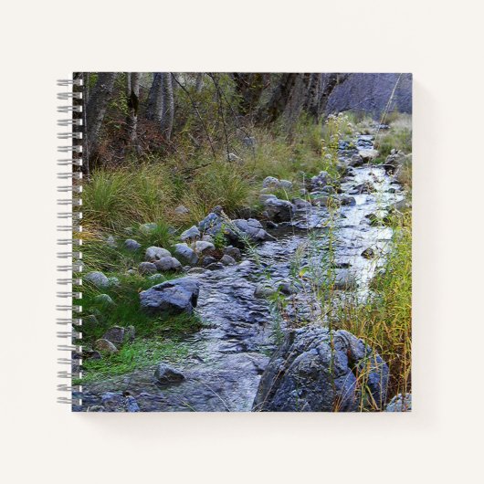 East Fork/Hayfork creek..... Notitieboek (Voorkant)
