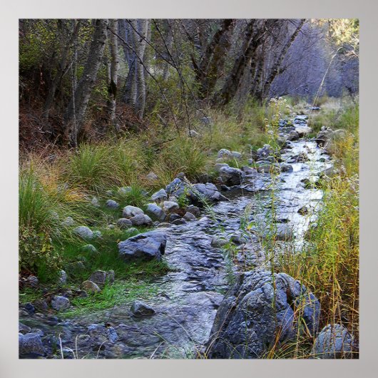 East Fork/Hayfork creek..... Poster (Voorkant)