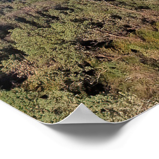 East Java Volcanoes Poster (Hoek)