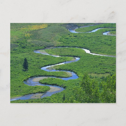 East River nabij de stad Crested Butte. Briefkaart (Voorkant)